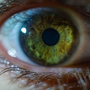 Meet your Posher, Louis-simon